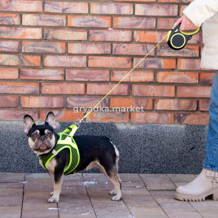 good-3b517564-7751-11f0-a5a8-b07b25e4d639