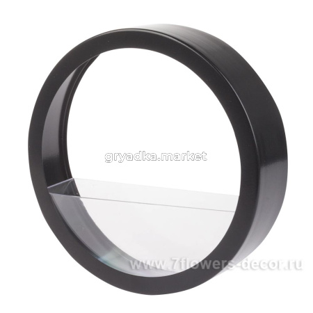 Флорариум настенный (металл, стекло), 5х20см