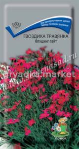 Гвоздика травянка Флэшинг Лайт (ЦВ) (