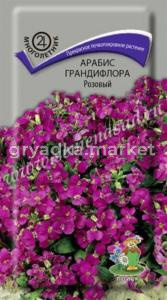 Арабис грандифлора Розовый (ЦВ) (