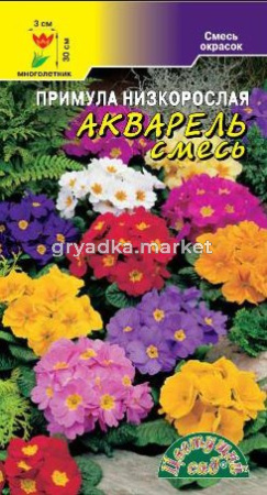 Скриншот 09-01-2023 110751