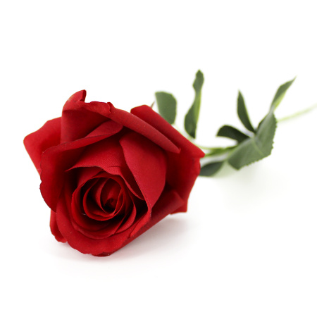 00000182693.1 00000182693.1