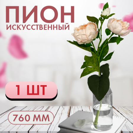 ПИОН1 ПИОН1