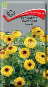 Календула Булз Ай махровая 0,1г Одн 45см (Поиск)