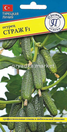 Огурец Страж F1 5 шт (Престиж)