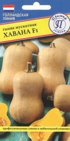 Тыква Хавана F1 мускатная 3шт Ср (Престиж)