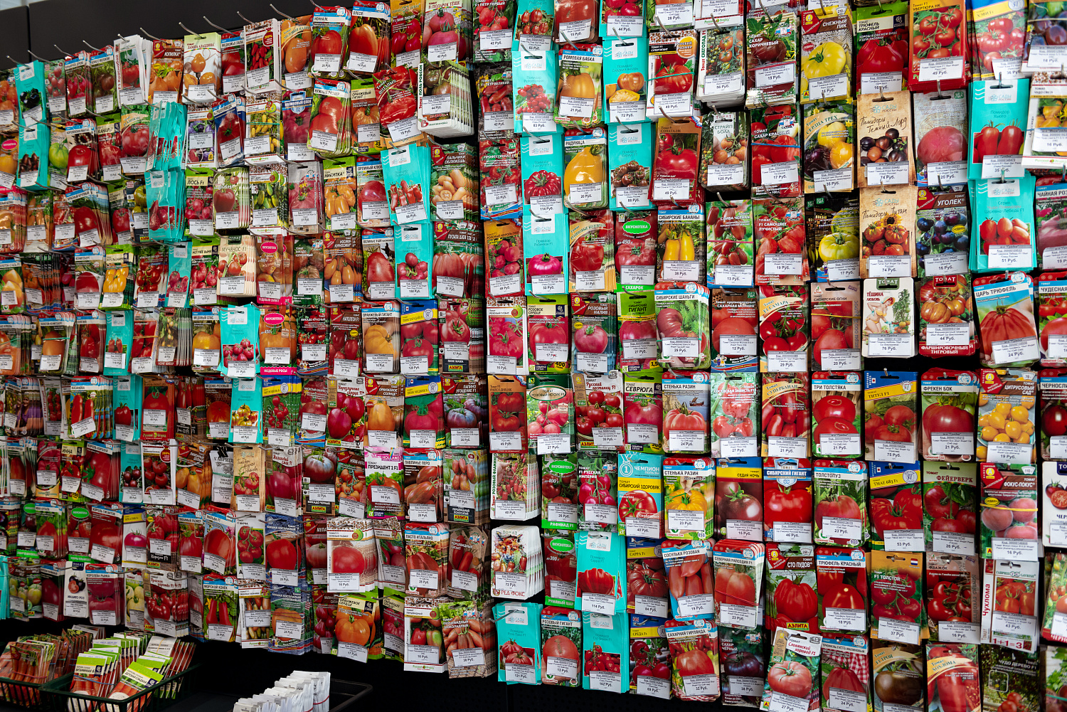 Как не обжечься при выборе семян?