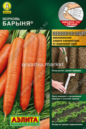 Морковь на ленте Барыня Ранн (Аэлита)