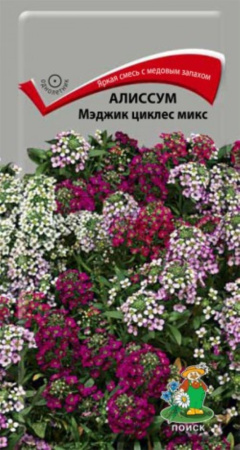 Алиссум Мэджик циклес микс 0,1г. Поиск Алиссум Мэджик циклес микс 0,1г. Поиск