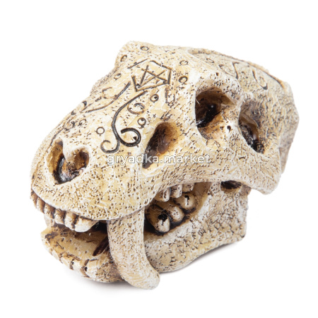 Грот смола Череп саблезубого тигра 7х4х4,4см-Амма