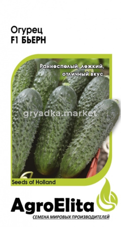 Огурец Бьерн F1 5 шт. партен. (Энза Заден) (АгроЭлита) Голландия