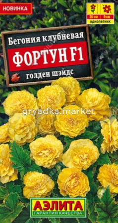 Бегония Фортун F1 голден шэйдс клубневая 5шт Одн 30см (Аэлита)