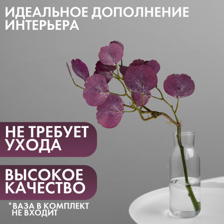 ЭВКАЛИПТ2 ЭВКАЛИПТ2