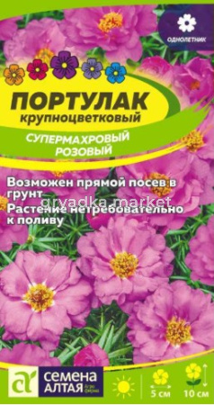 Скриншот 20-08-2026 133549