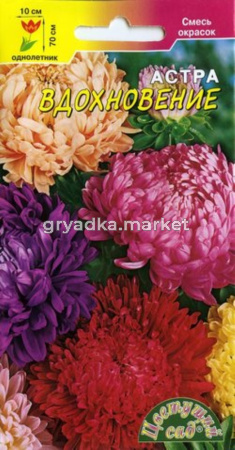 Астра Вдохновение пионов смесь.0,3г.Цвет.сад.