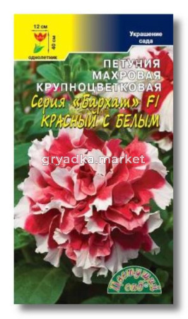 Петуния Бархат Красная с белым, махр Цвет.Сад