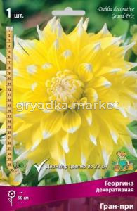 Георгина декоративная Гран-при (ярко-жёлтый, белые кончики лепестков, диаметр цветка 22 см, 1шт, I)
