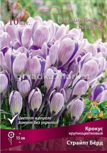 Крокус крупноцветковый 10шт (смесь окрасок, 7-8, h10см)
