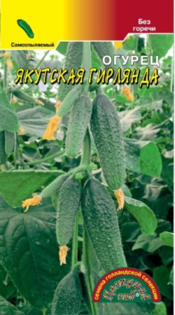 Огурец Якутская Гирлянда F1 0.3г Парт Ранн (Цвет сад)