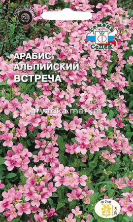 Арабис Встреча 0,1г Мн 20см (Седек)