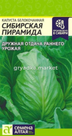 Капуста б-к Сибирская Пирамида 0,3г Ранн (Сем Алт)