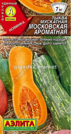 Тыква Московская мускатная 1г Позд (Аэлита)