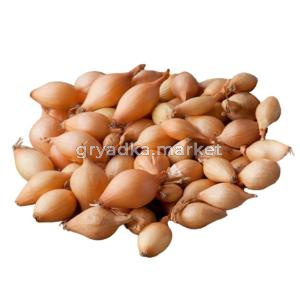 Лук-севок Сеттон (желтый) 10-21 20кг Ср