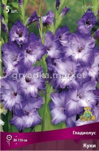 Гладиолус крупноцветковый Куки 5шт (цвет сине-фиолетовый, 12-14)