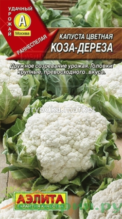 Капуста цветная Коза дереза (Аэлита)