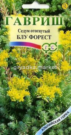 Седум Блу Форрест ,отогнутый 0,01г Альп. горка (д-цв.ковров)