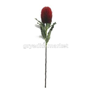 Искусственные цветы Банксия Н  см KLS2963-5
