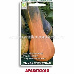 Тыква Арабатская мускатная 10шт Ср (Поиск)