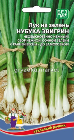 Лук на зелень Нубука Эвергрин 0,25г (УД)