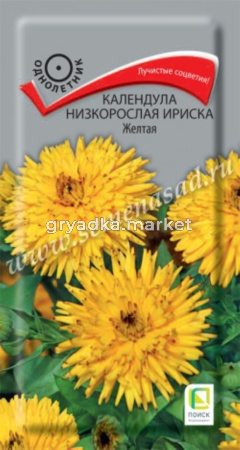 Календула низкорослая Ириска Желтая (ЦВ ) (