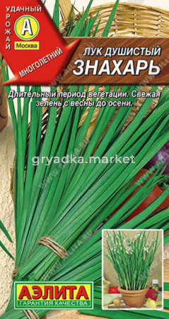 Лук душистый Знахарь Аэлита