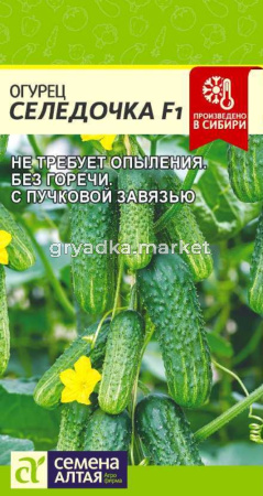 Огурец Селедочка F1 5шт (Сем Алт)