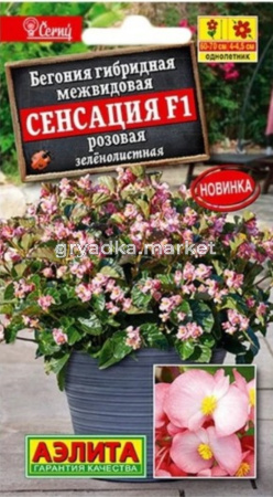 Бегония Сенсация розовая зеленолистная F1 7шт Одн 70см (Аэлита)