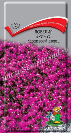 Лобелия Эринус Королевский дворец 0,1г. КУСТОВАЯ Поиск