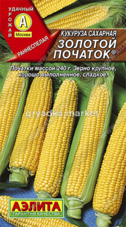 Кукуруза Золотой початок сахар. Аэлита