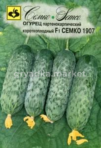 Огурец Семко 1907 F1 корнишон 10шт Парт Ранн (Семко)