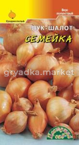 Лук-Шалот Семейка Цвет.сад.