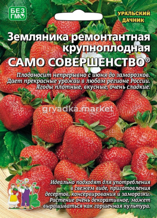 Земляника Само совершенство ремонтантная (УД)