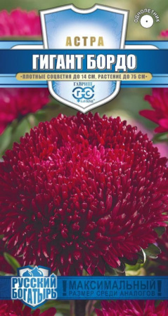 Астра Гигант бордох  0,1 г игольчато-коготковая, серия Русский богатырь Н18