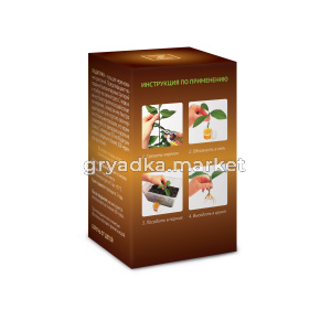 Радигрин-Фикус-основной-правый-ракурс-оборот-развернутый