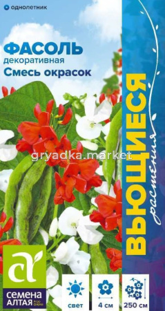 Фасоль декор. Смесь окрасок вьющаяся 5 г Одн (Сем Алт) 