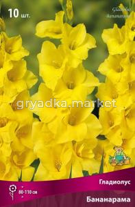 Гладиолус крупноцветковый Бананарама 10шт (лимонно-желтый, 10-12)