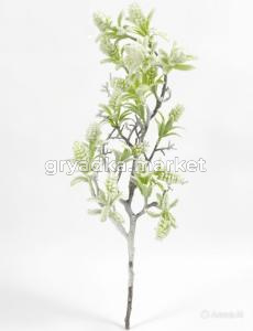 diting_result_0b6752f5a9d211f1b5b2ce07db38ab6b_1