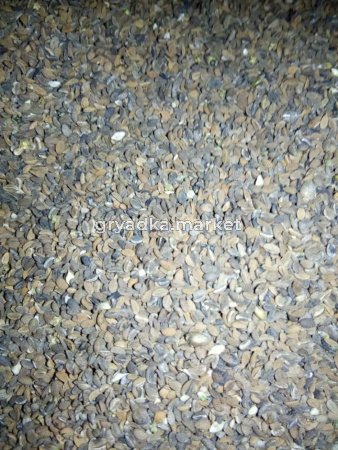 Фацелия 35 кг-МЕДОНОС