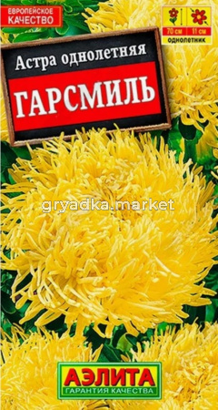 Астра Гарсмиль коготковая (Аэлита)