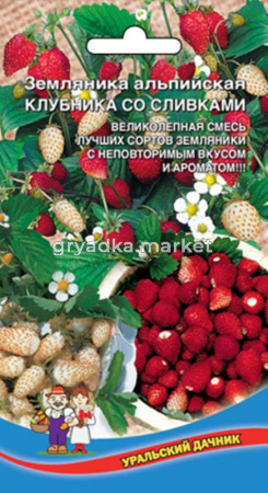 Земляника Клубника со сливками,альпийская смесь (УД) ЧСС